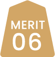 MERIT06